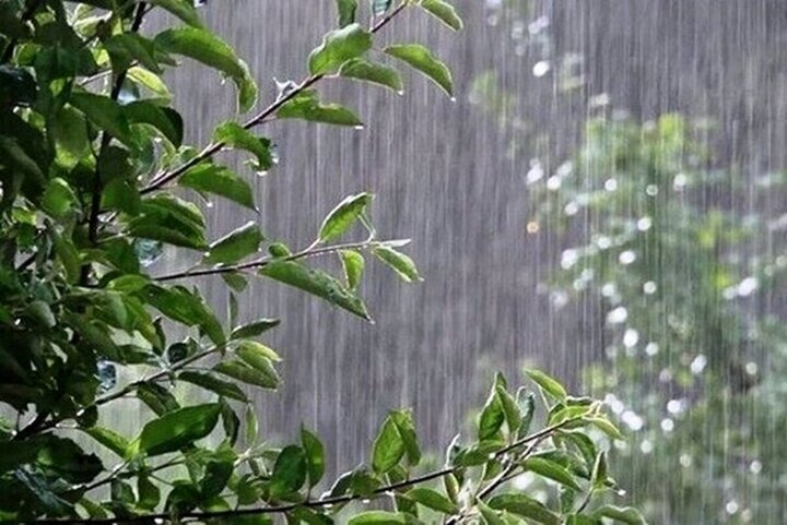 پیام مازند