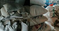 کشف ۱۵ تن چای احتکارشده در قائم‌شهر