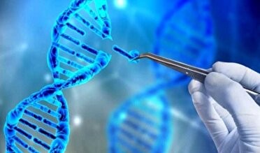 راه اندازی مراکز ژن درمانی در کشور