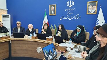 دولت به دنبال توسعه کسب و کار‌های دانش بنیان در حوزه زنان