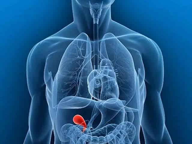 نقش کیسه صفرا در بدن