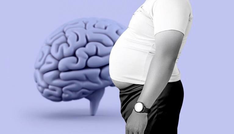 چاقی شکمی، زنگ خطری برای مغز