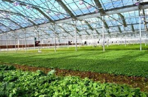 افتتاح همزمان ۵۳ پروژه بزرگ جهاد کشاورزی مازندران در جویبار