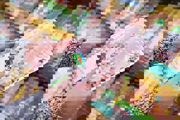 ۱۰۰۰۰ تن مرغ منجمد برای عرضه در مازندران آماده شده است