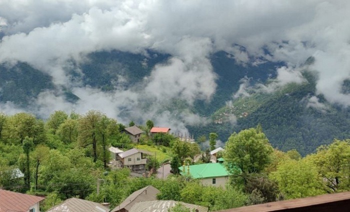 شانه‌تراش تنکابن در مسیر جهانی شدن