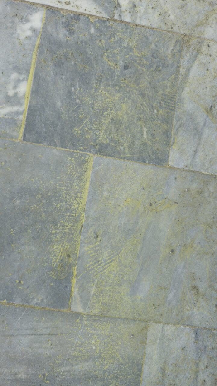 نگرانی مردم سوادکوه شمالی از انتشار گرده زرد رنگ