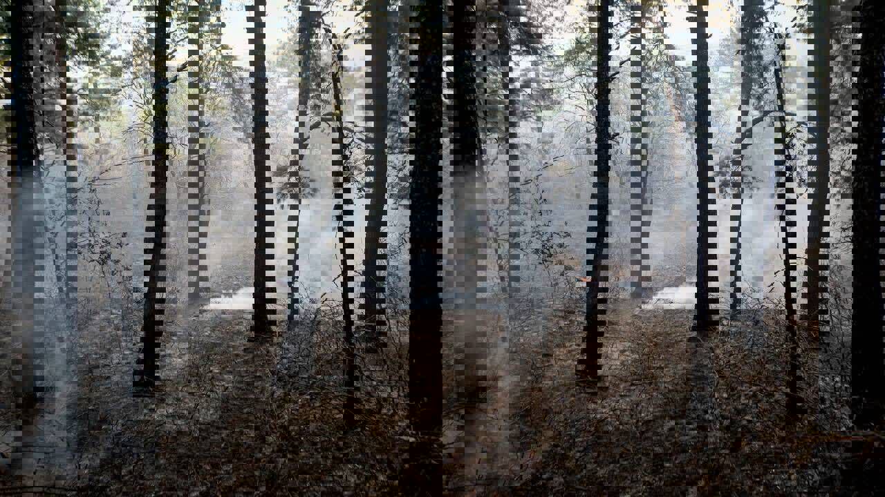 مهار ۳ فقره آتش‌سوزی در جنگل‌های مازندران