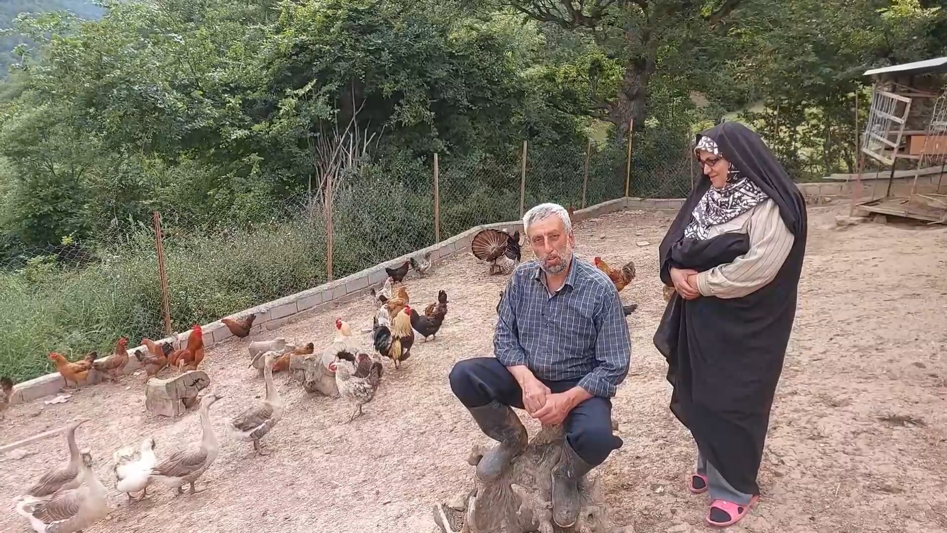 پیام مازند