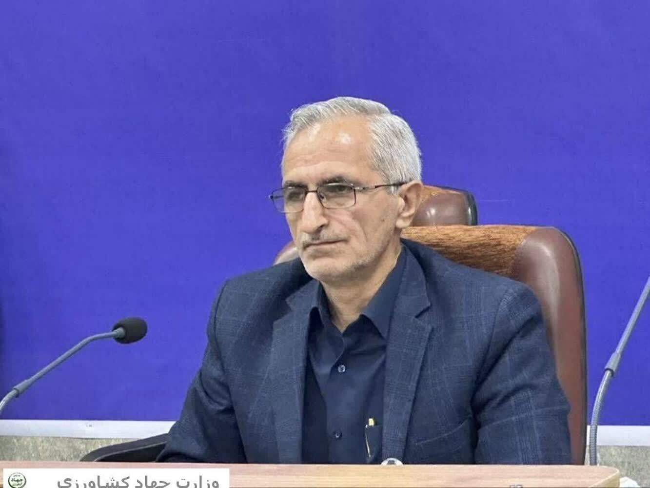 پایش و مبارزه با آفات در ۳۵۰ هزار هکتار از اراضی کشاورزی مازندران