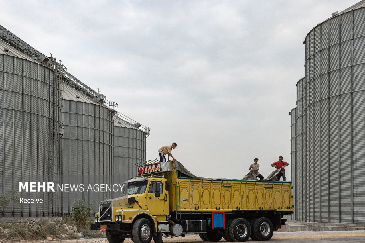 مازندران قطب راهبردی ذخیره‌سازی کالاهای اساسی می‌شود؛ احداث ۲ سیلو