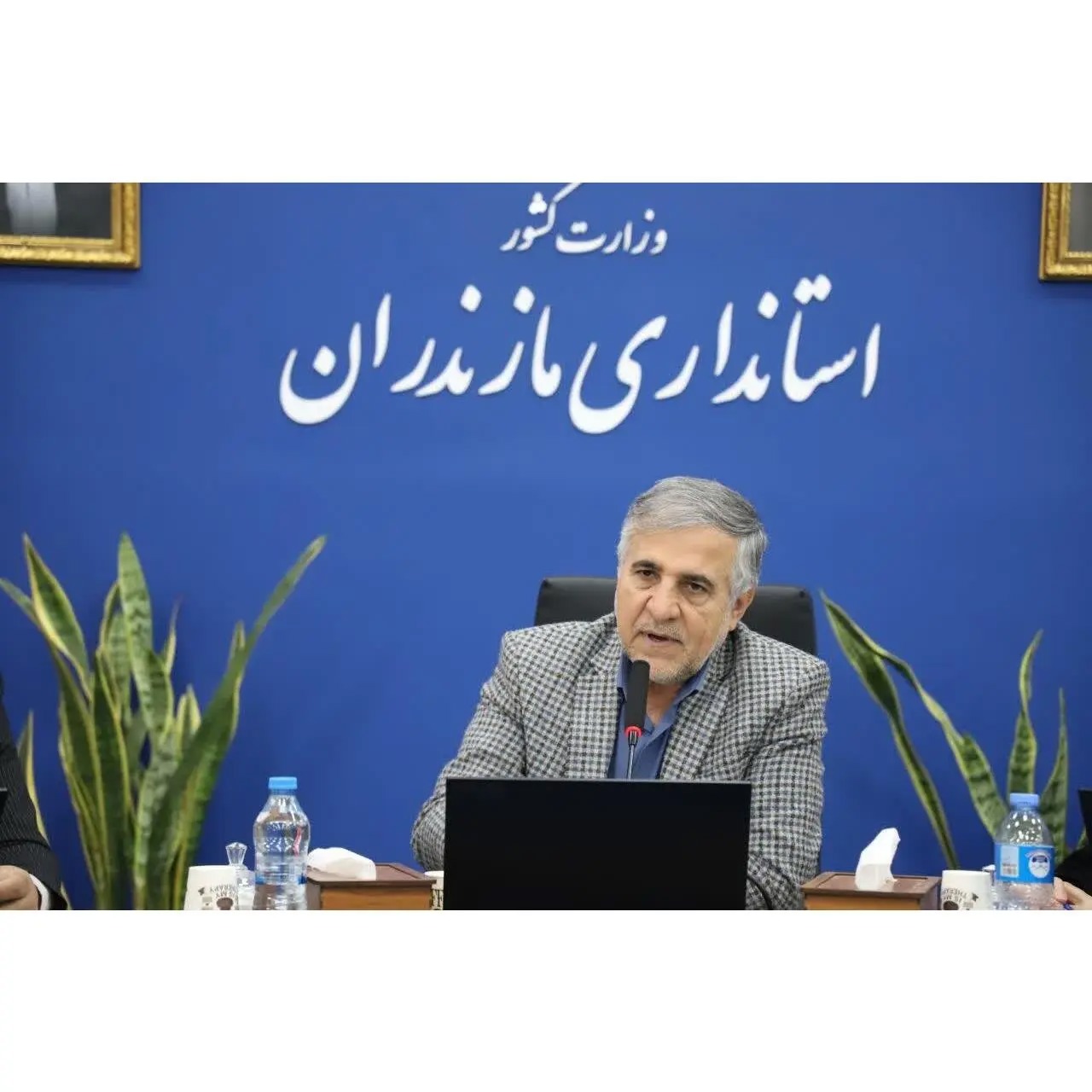 ادامه روند کاهشی قیمت و ثبات بازار مرغ در آستانه ماه محرم در استان مازندران