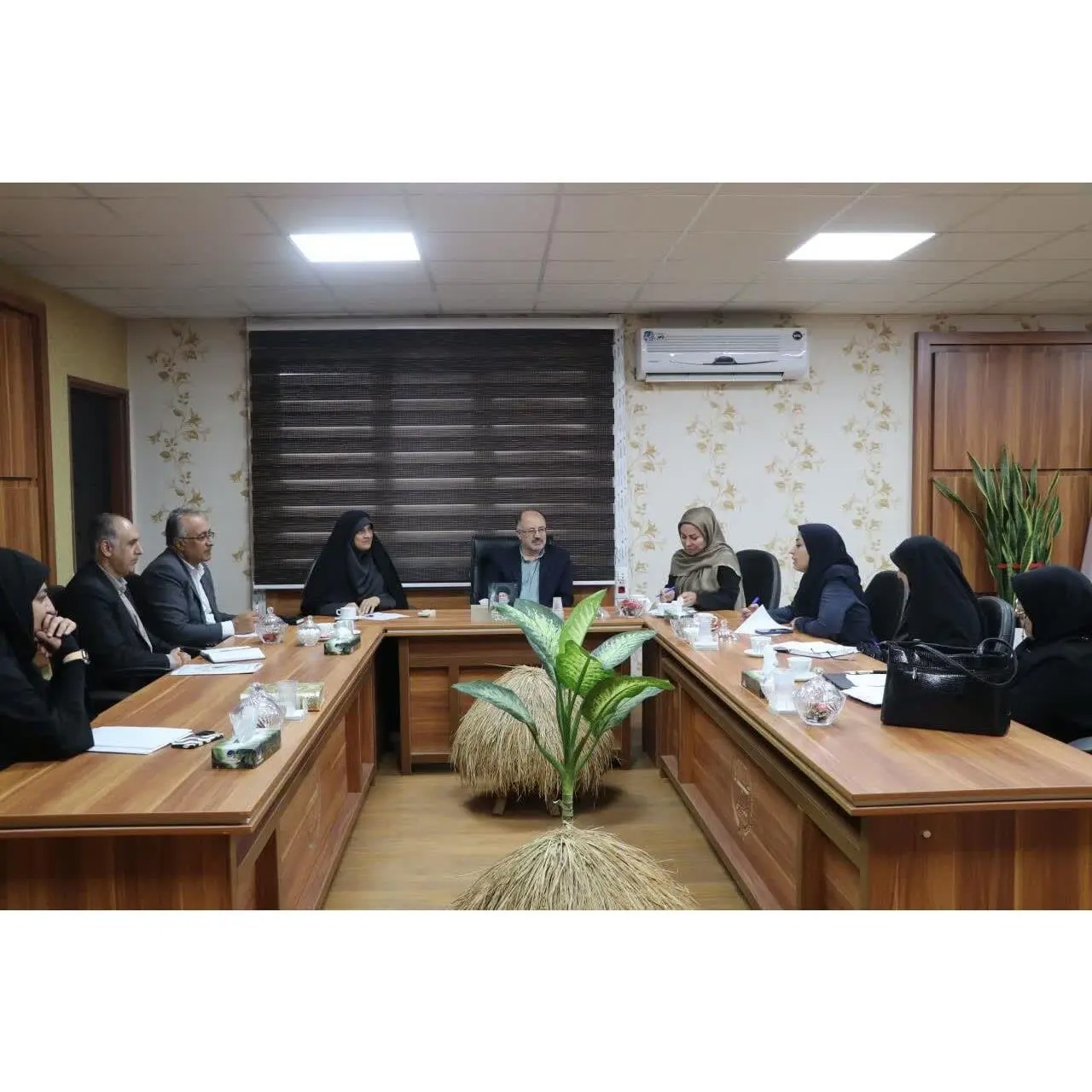 زنان روستایی ظرفیت مهم توسعه اقتصادی هستند