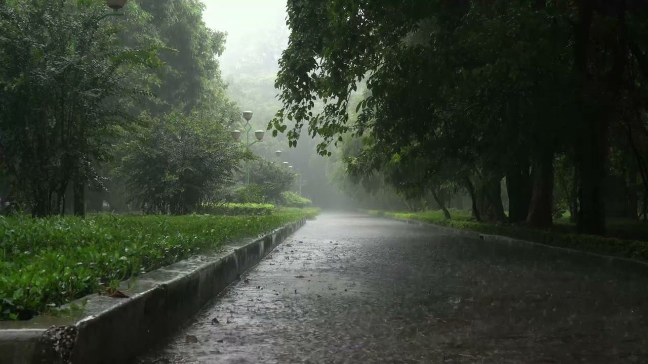 رگبار و کاهش دما از سه‌شنبه در مازندران