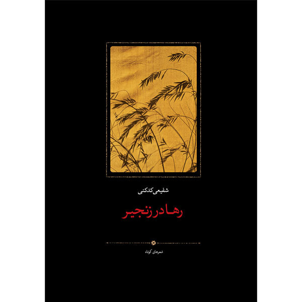 پیام مازند
