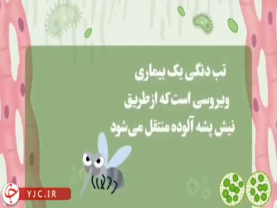 تب دنگی؛ نیش پشه‌ها را جدی بگیریم