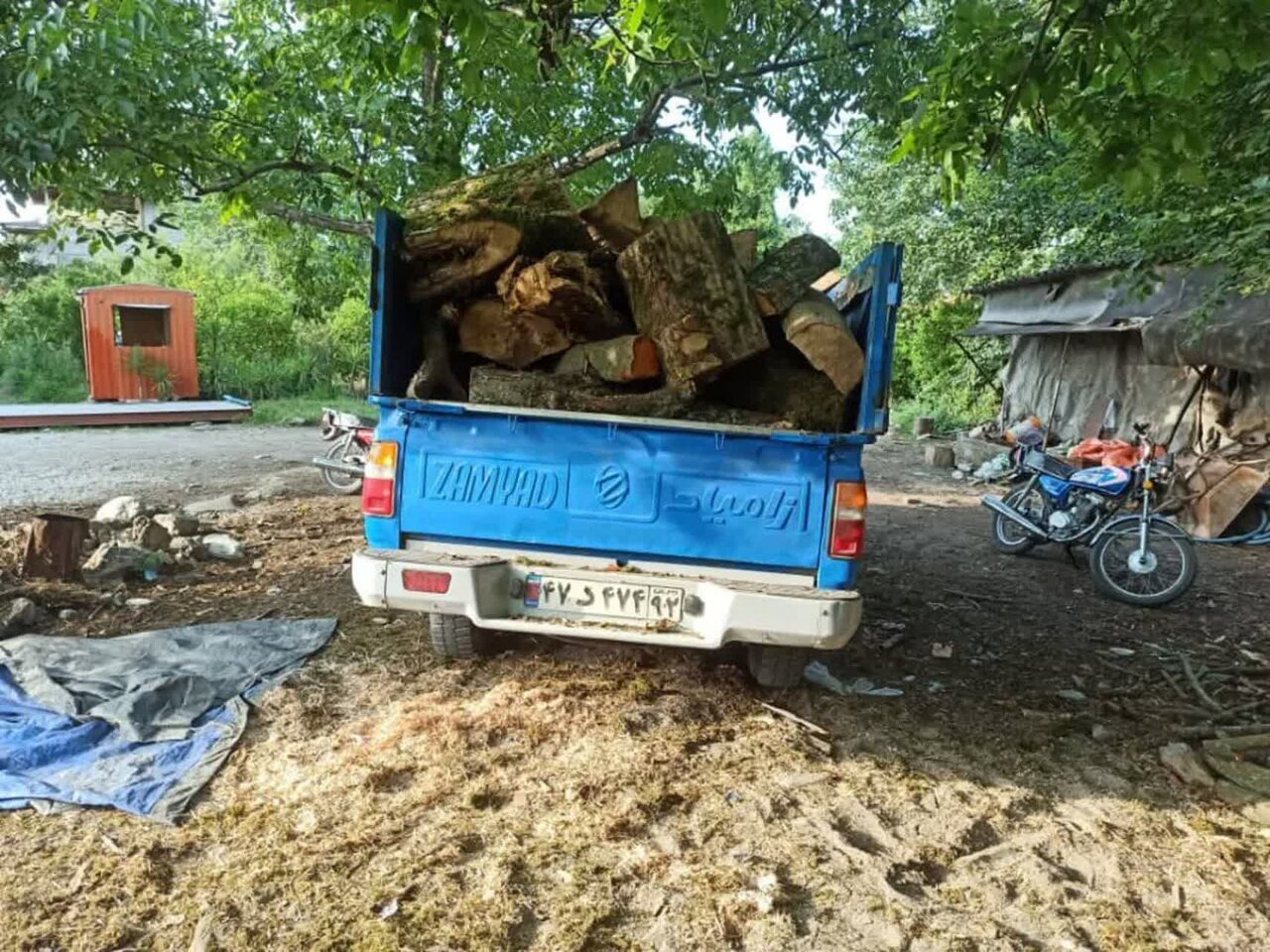 توقیف ۳ خودروی حامل چوب قاچاق در بابل و آمل