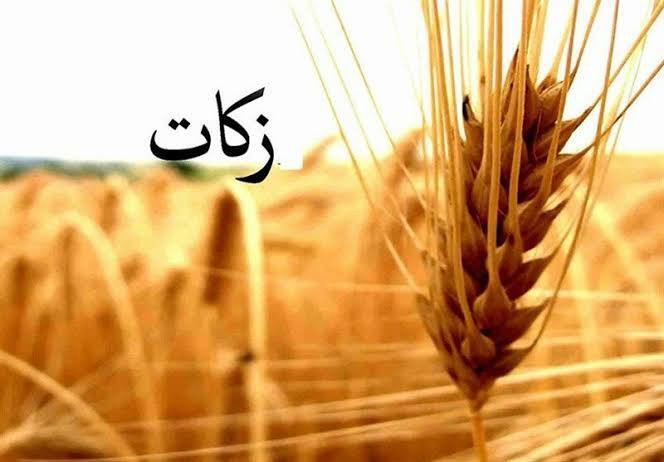 پرداخت ۹میلیارد و ۷۰۰ میلیون تومان زکات توسط خیرین چالوسی