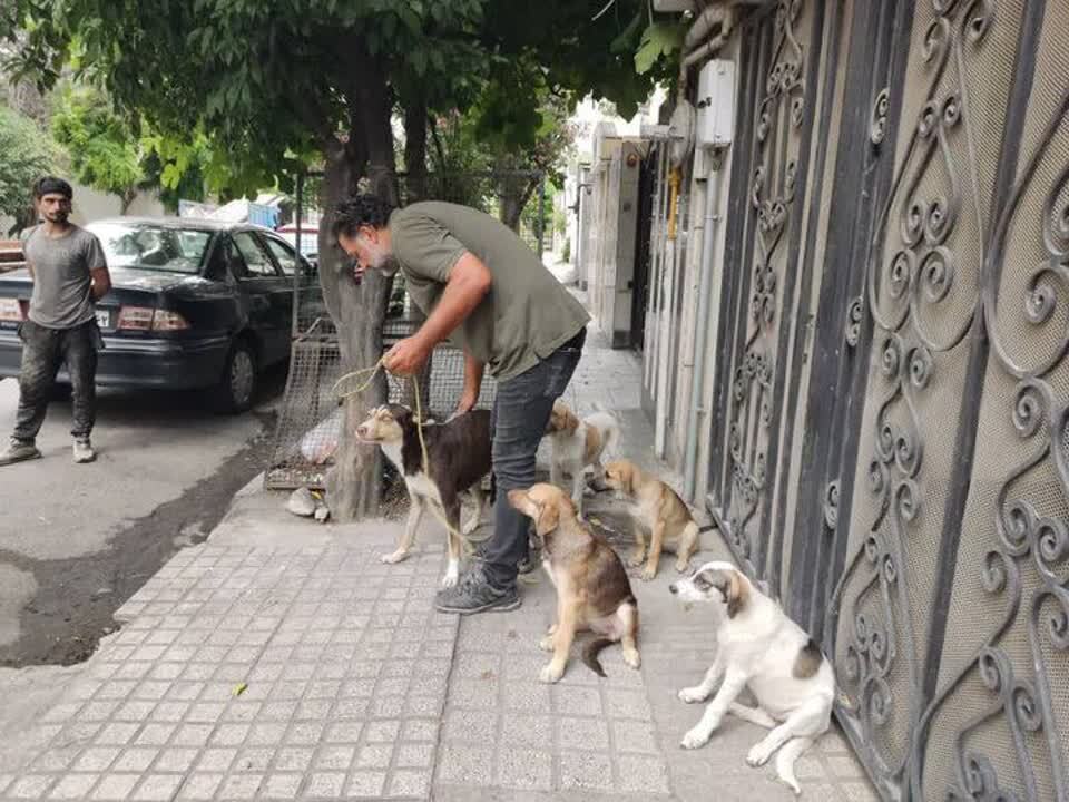 پیام مازند