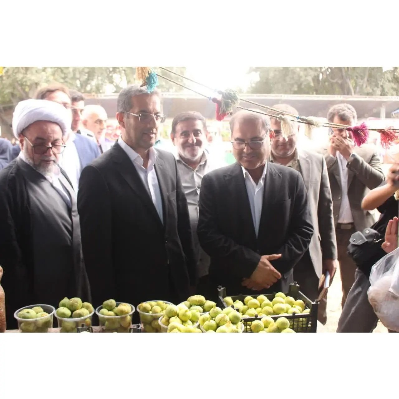 قاسمی طوسی: آینده انجیر گلوگاه باید از مسیر ارزش‌آفرینی و برندسازی عبور کند