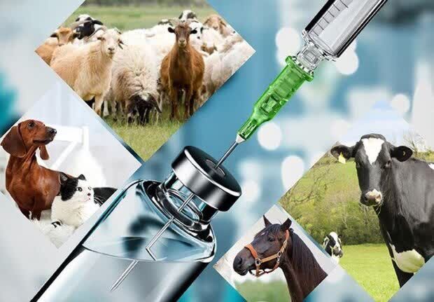 محکومیت ۴ میلیارد و ۷۶۱ میلیون ریالی داروفروش متقلب در نهاوند | آخرین خبر