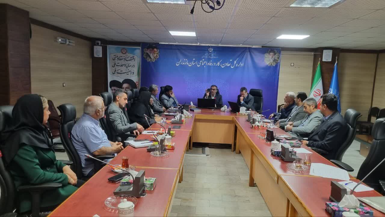 ۸ هزار تعاونی؛ ظرفیت بزرگ اقتصاد مازندران