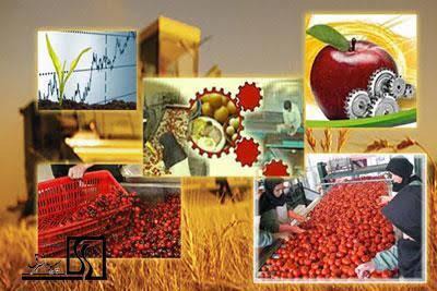 رتبه سوم مازندران در جذب سرمایه‌گذاری بخش کشاورزی کشور
