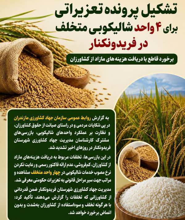 تشکیل پرونده تعزیراتی برای چهار واحد شالیکوبی متخلف در فریدونکنار