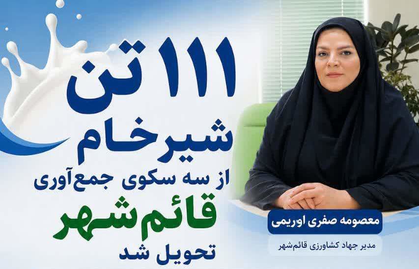 جمع‌آوری ۱۱۱ تن شیرخام از دامداری‌های قائم‌شهر در مردادماه