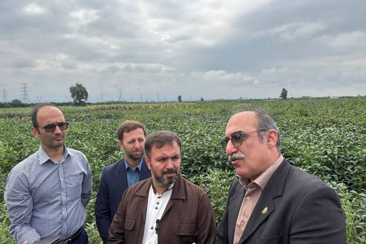 هجدهمین اردوی راویان پیشرفت در مازندران برگزار شد