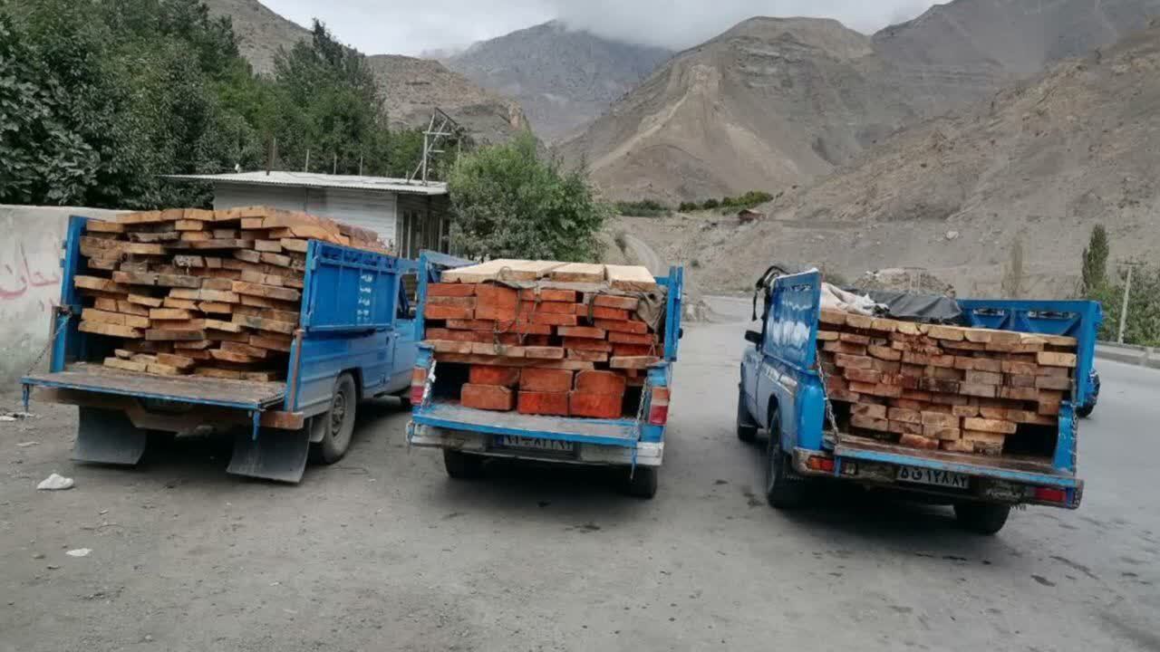 توقیف ۴ خودروی حامل چوب قاچاق در محور هراز آمل
