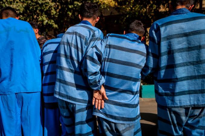دستگیری عوامل سرقت محصولات کشاورزی و ادوات باغداری در جویبار