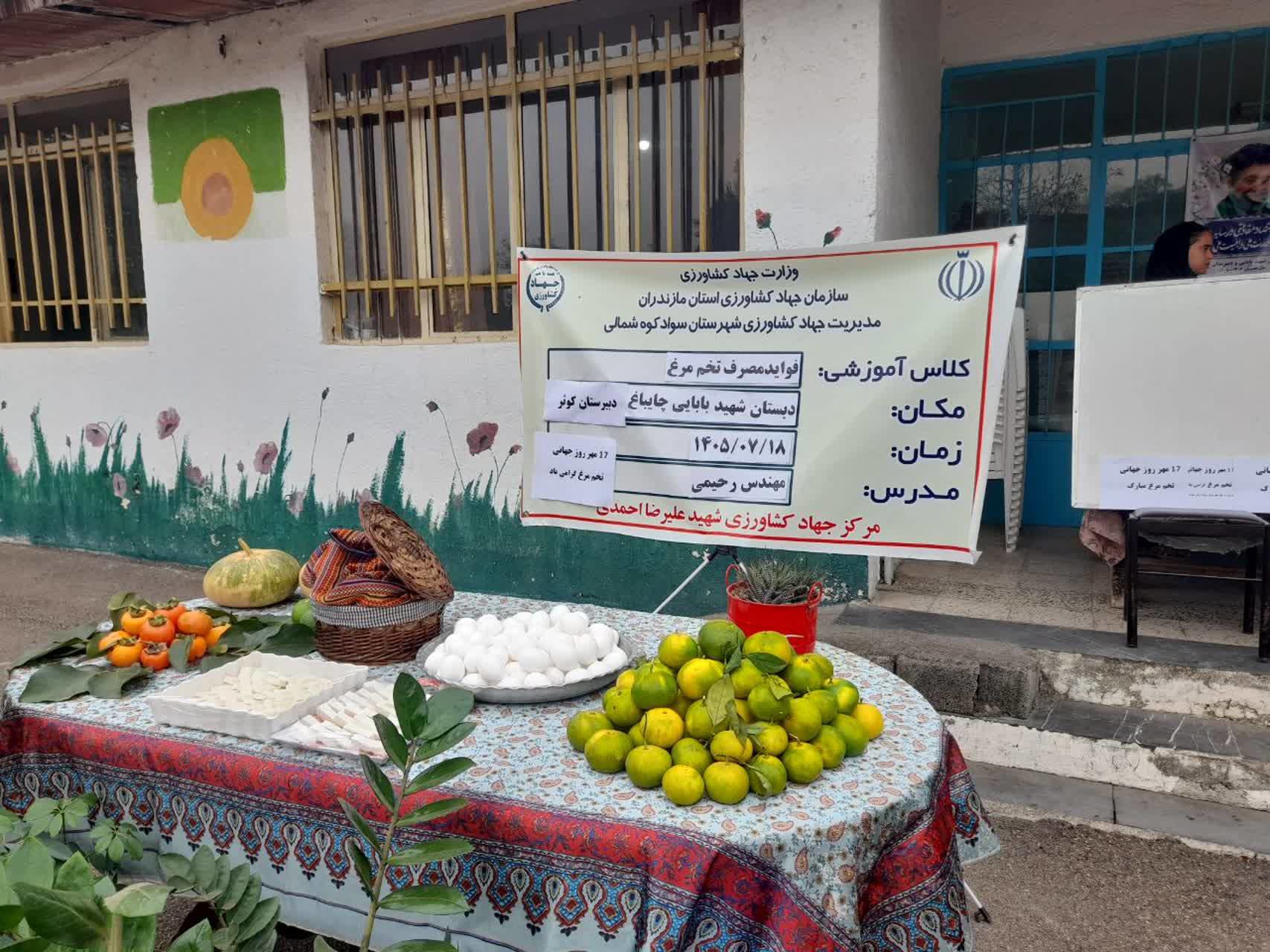تولید سالانه دو هزار و ۱۰۰ تن شیر و گوشت توسط عشایر سوادکوه شمالی