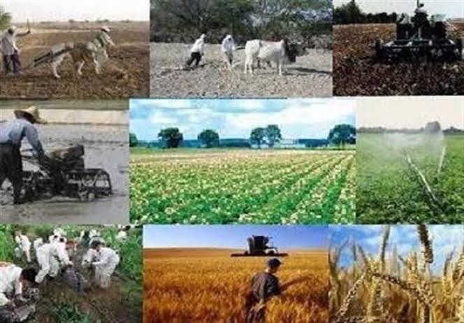 اجرای طرح هر شهرستان، یک محصول در مازندران