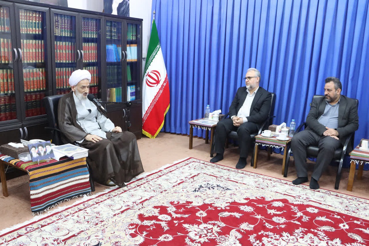 طرح روایت علویان گامی مهم و مؤثر برای تقویت هویت دینی و ملی