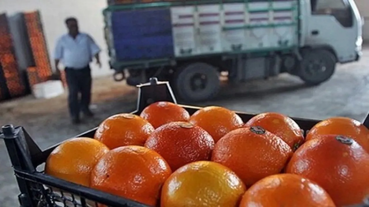برخورد قانونی با رنگ‌افزایی غیرمجاز مرکبات