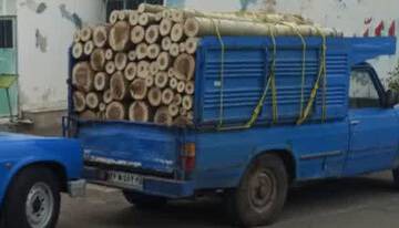 کشف بیش از ۱۵ تن چوب قاچاق در تبریز