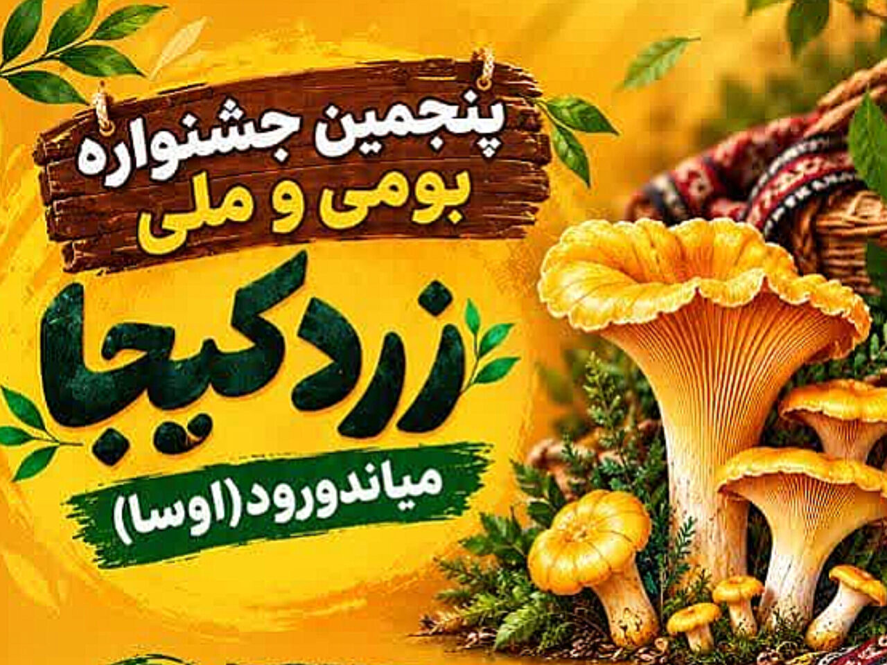 زردکیجا در میاندورود مازندران