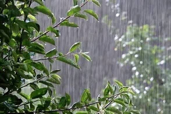 پیام مازند